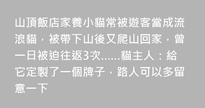 山頂飯店家養小貓常被遊客當成流浪貓，被帶下山後又爬山回家，曾一日被迫往返3次……貓主人：給它定製了一個牌子，路人可以多留意一下