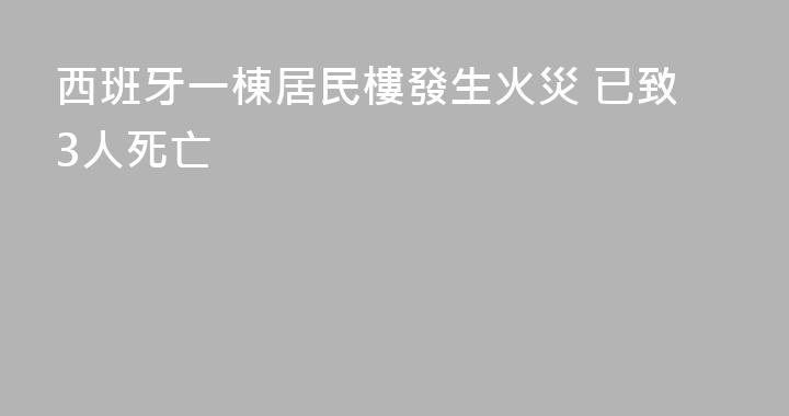 西班牙一棟居民樓發生火災 已致3人死亡