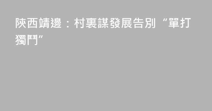 陝西靖邊：村裏謀發展告別“單打獨鬥”