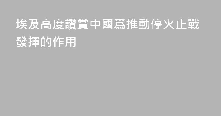 埃及高度讚賞中國爲推動停火止戰發揮的作用