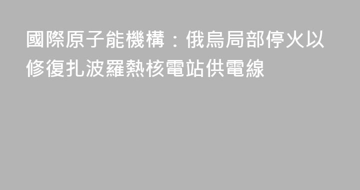 國際原子能機構：俄烏局部停火以修復扎波羅熱核電站供電線