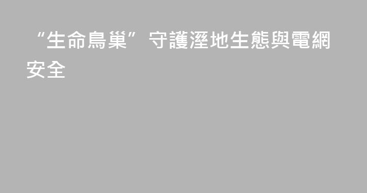“生命鳥巢”守護溼地生態與電網安全