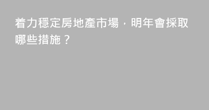 着力穩定房地產市場，明年會採取哪些措施？