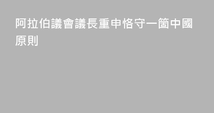 阿拉伯議會議長重申恪守一箇中國原則