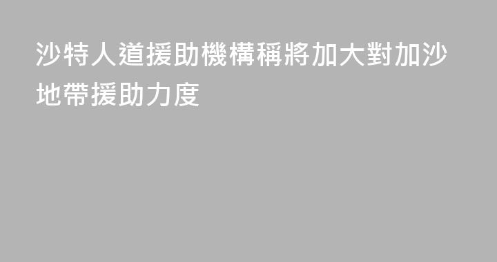 沙特人道援助機構稱將加大對加沙地帶援助力度