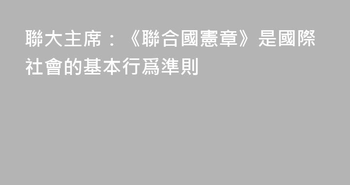聯大主席：《聯合國憲章》是國際社會的基本行爲準則