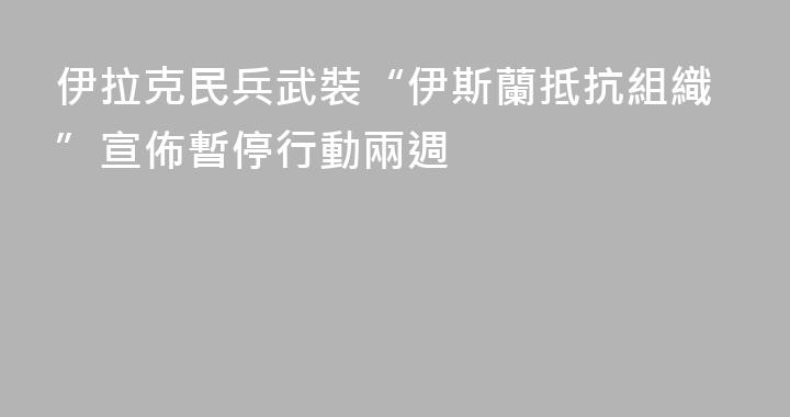 伊拉克民兵武裝“伊斯蘭抵抗組織”宣佈暫停行動兩週