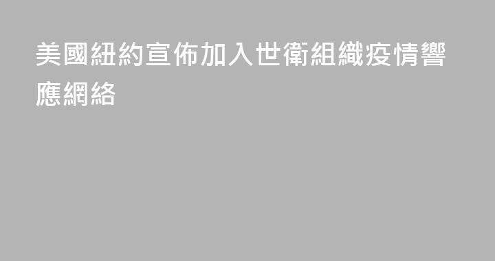 美國紐約宣佈加入世衛組織疫情響應網絡