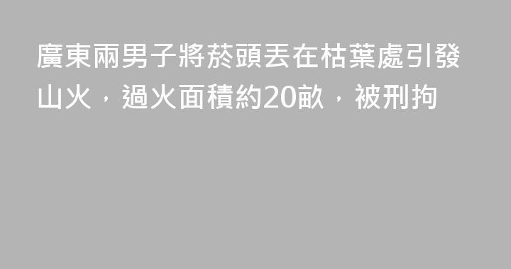 廣東兩男子將菸頭丟在枯葉處引發山火，過火面積約20畝，被刑拘