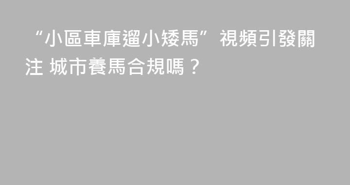 “小區車庫遛小矮馬”視頻引發關注 城市養馬合規嗎？
