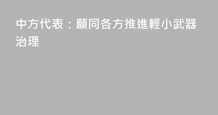 中方代表：願同各方推進輕小武器治理