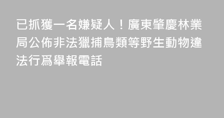 已抓獲一名嫌疑人！廣東肇慶林業局公佈非法獵捕鳥類等野生動物違法行爲舉報電話