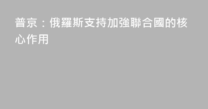 普京：俄羅斯支持加強聯合國的核心作用
