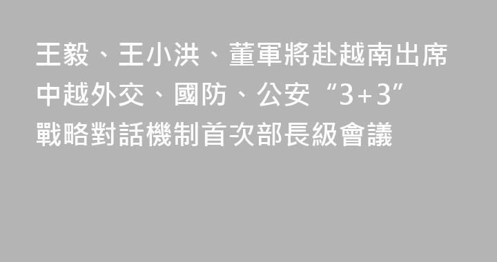 王毅、王小洪、董軍將赴越南出席中越外交、國防、公安“3+3”戰略對話機制首次部長級會議