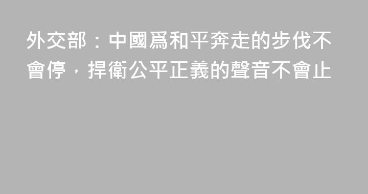 外交部：中國爲和平奔走的步伐不會停，捍衛公平正義的聲音不會止