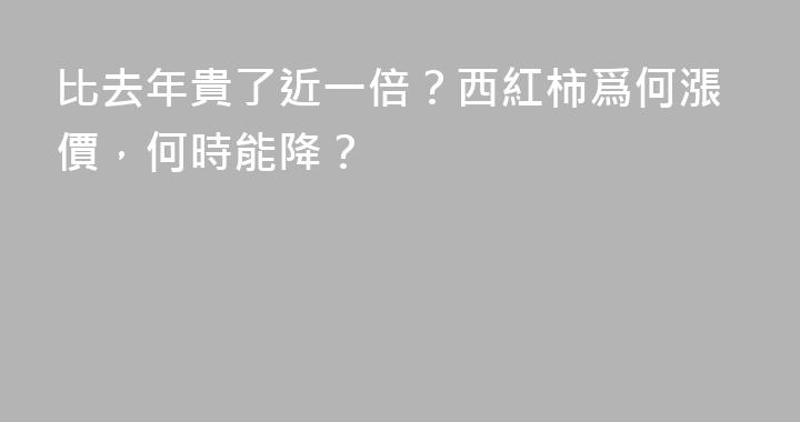 比去年貴了近一倍？西紅柿爲何漲價，何時能降？