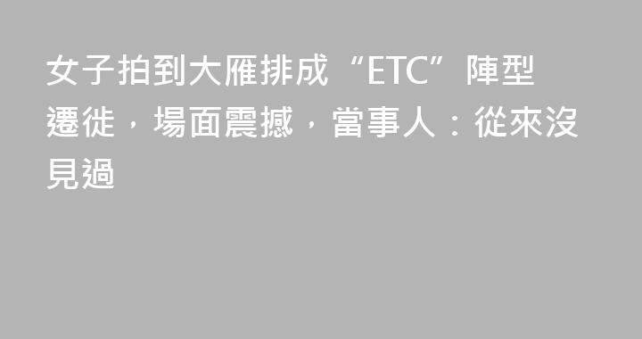 女子拍到大雁排成“ETC”陣型遷徙，場面震撼，當事人：從來沒見過