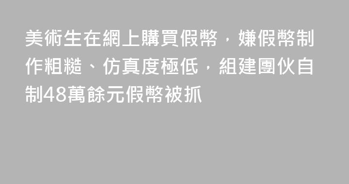 美術生在網上購買假幣，嫌假幣制作粗糙、仿真度極低，組建團伙自制48萬餘元假幣被抓