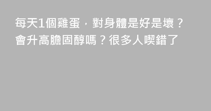 每天1個雞蛋，對身體是好是壞？會升高膽固醇嗎？很多人喫錯了