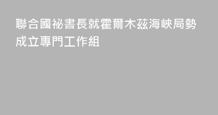 聯合國祕書長就霍爾木茲海峽局勢成立專門工作組
