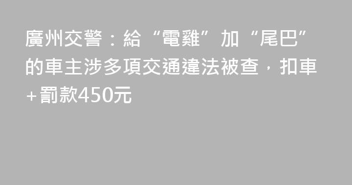 廣州交警：給“電雞”加“尾巴”的車主涉多項交通違法被查，扣車+罰款450元