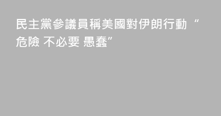 民主黨參議員稱美國對伊朗行動“危險 不必要 愚蠢”