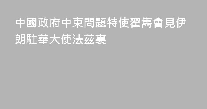 中國政府中東問題特使翟雋會見伊朗駐華大使法茲裏