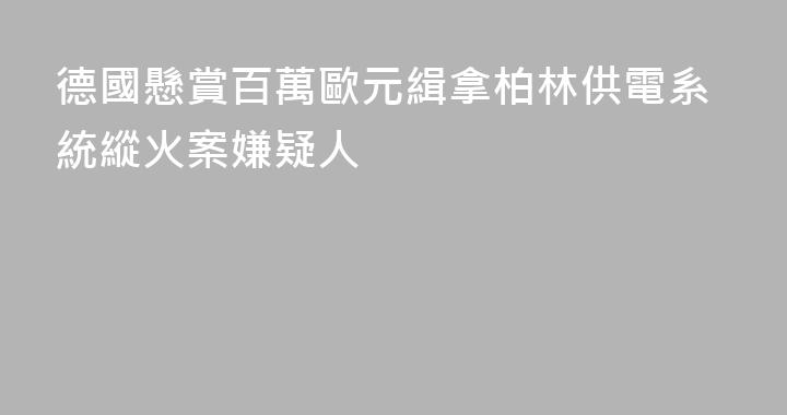 德國懸賞百萬歐元緝拿柏林供電系統縱火案嫌疑人