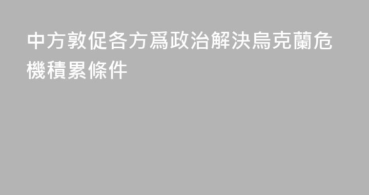 中方敦促各方爲政治解決烏克蘭危機積累條件