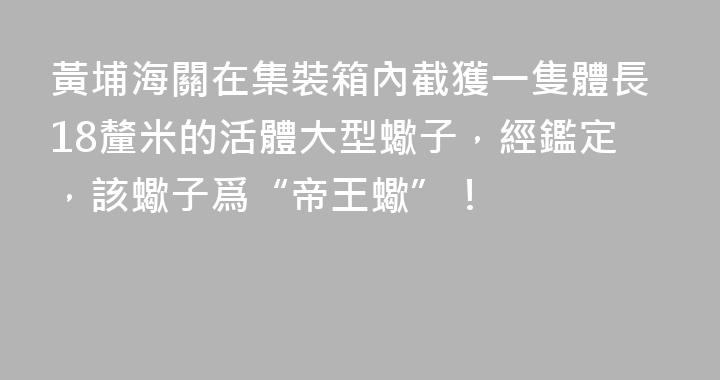 黃埔海關在集裝箱內截獲一隻體長18釐米的活體大型蠍子，經鑑定，該蠍子爲“帝王蠍”！