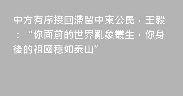 中方有序接回滯留中東公民，王毅：“你面前的世界亂象叢生，你身後的祖國穩如泰山”