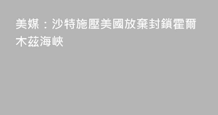 美媒：沙特施壓美國放棄封鎖霍爾木茲海峽
