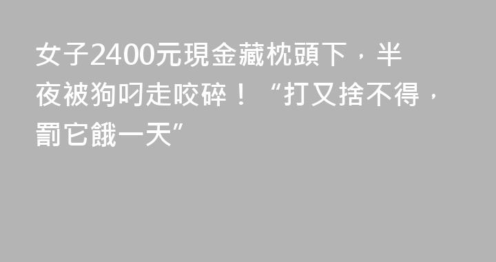 女子2400元現金藏枕頭下，半夜被狗叼走咬碎！“打又捨不得，罰它餓一天”