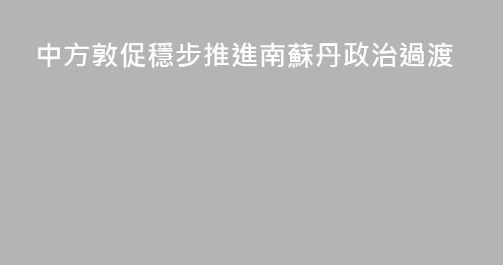 中方敦促穩步推進南蘇丹政治過渡