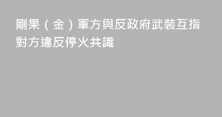 剛果（金）軍方與反政府武裝互指對方違反停火共識
