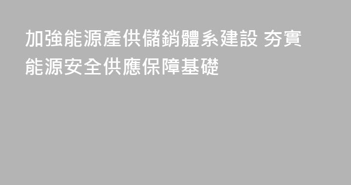 加強能源產供儲銷體系建設 夯實能源安全供應保障基礎