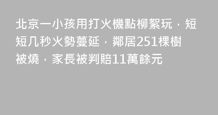 北京一小孩用打火機點柳絮玩，短短几秒火勢蔓延，鄰居251棵樹被燒，家長被判賠11萬餘元