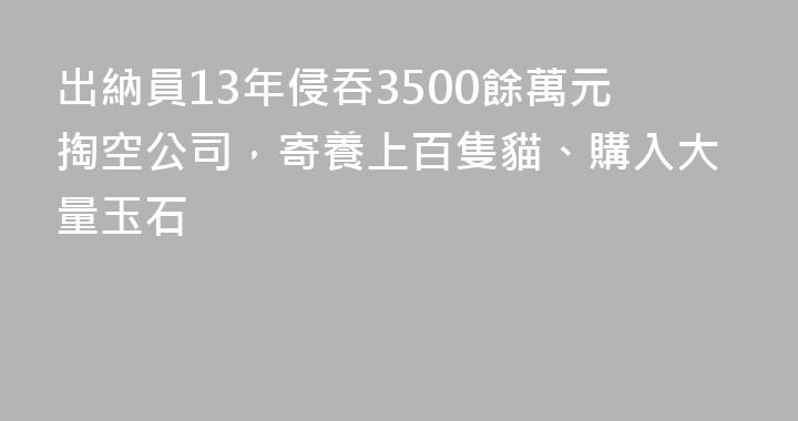 出納員13年侵吞3500餘萬元掏空公司，寄養上百隻貓、購入大量玉石