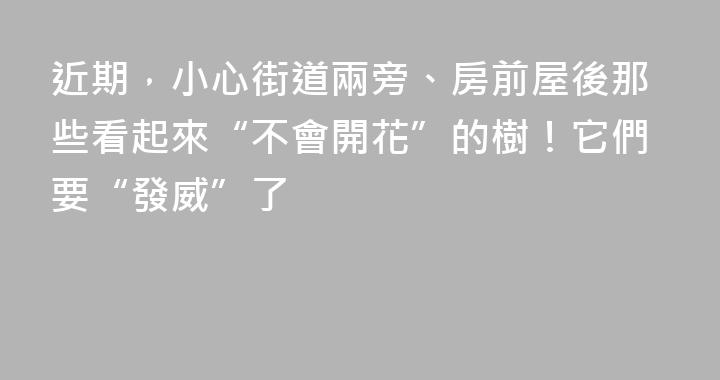 近期，小心街道兩旁、房前屋後那些看起來“不會開花”的樹！它們要“發威”了