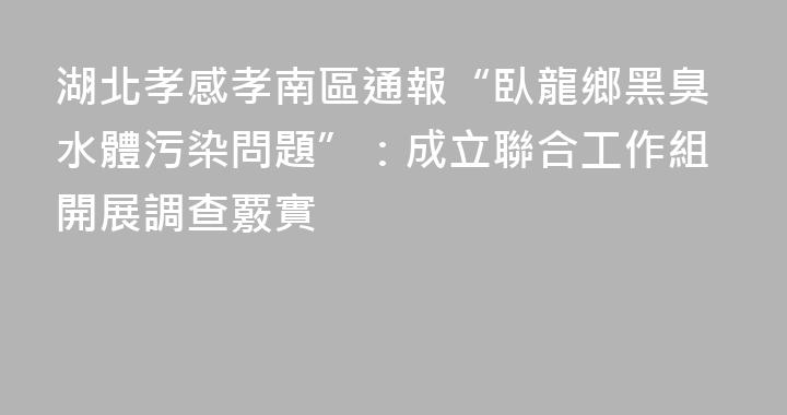 湖北孝感孝南區通報“臥龍鄉黑臭水體污染問題”：成立聯合工作組開展調查覈實