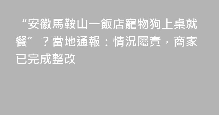 “安徽馬鞍山一飯店寵物狗上桌就餐”？當地通報：情況屬實，商家已完成整改