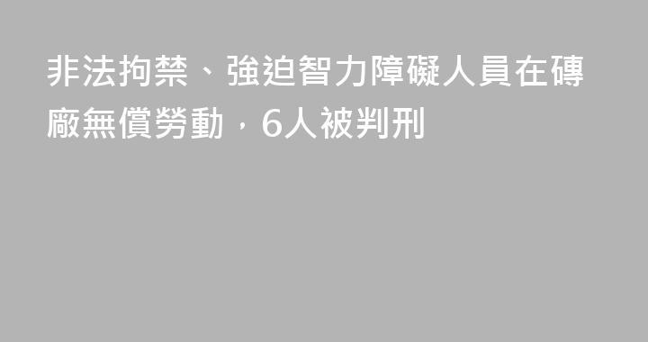 非法拘禁、強迫智力障礙人員在磚廠無償勞動，6人被判刑