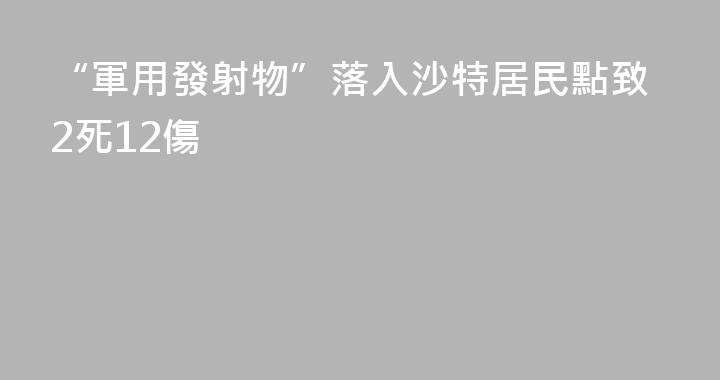 “軍用發射物”落入沙特居民點致2死12傷