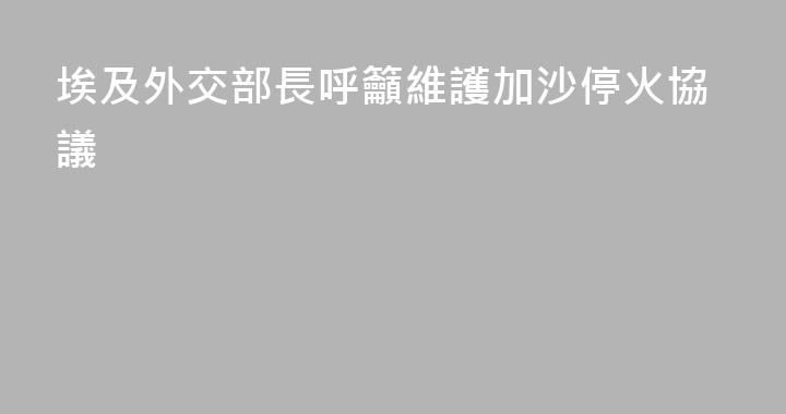 埃及外交部長呼籲維護加沙停火協議
