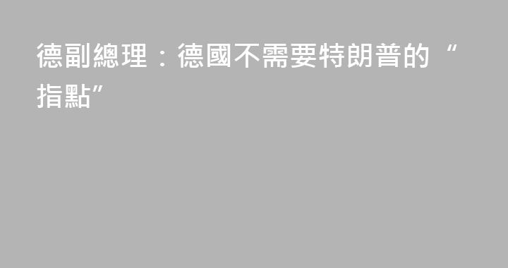 德副總理：德國不需要特朗普的“指點”