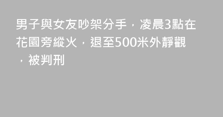 男子與女友吵架分手，凌晨3點在花園旁縱火，退至500米外靜觀，被判刑